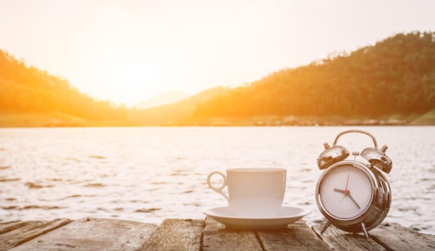 Which Exotic Garden Bird Are You