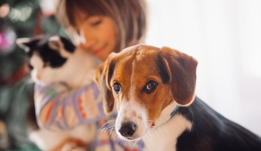 A girl is holding a dog and cat in front of a christmas tree.