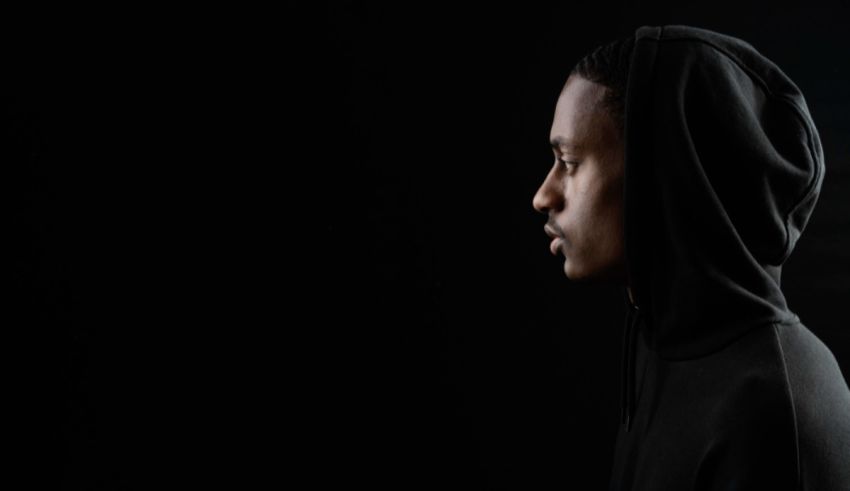 What Animal Would You Reincarnate As