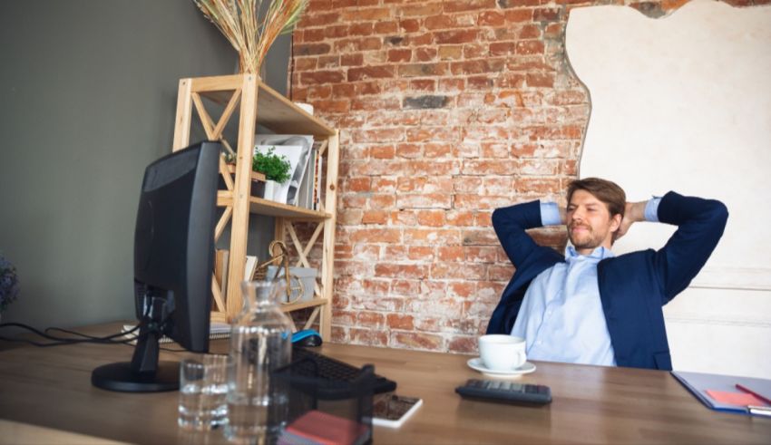 What's Your Cat Archetype