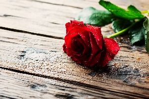 Which Greek God Are You