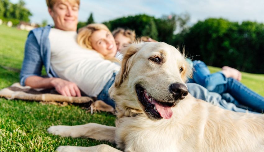 A family laying on the grass with their dog.
