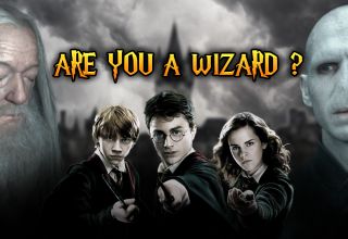 Are You a Wizard