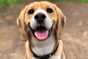 Which Golden Child Member Are You