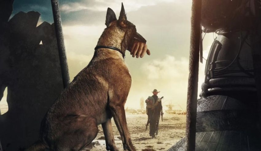 What Fallout Character Are You Based On Your Traits