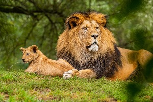 Which Golden Child Member Are You