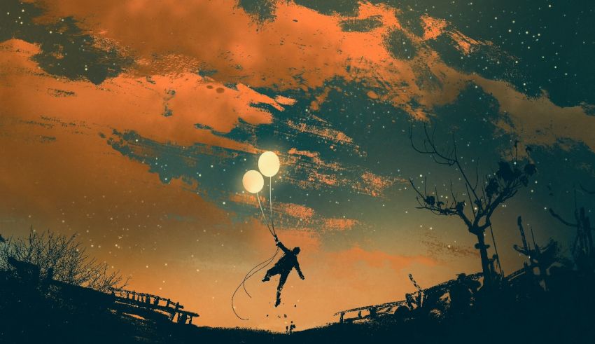 What Raccoon Are You