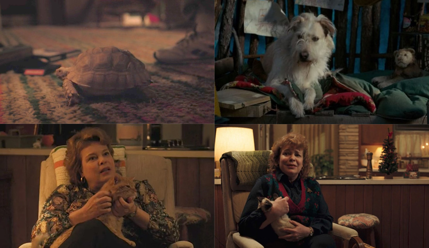 A collage of pictures showing a woman with a dog and a turtle.