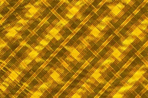 What Pokemon Are You