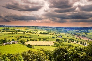 What Pokemon Are You