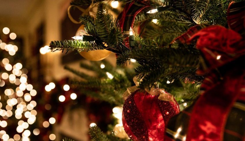 A close up of a christmas tree decorated with lights.