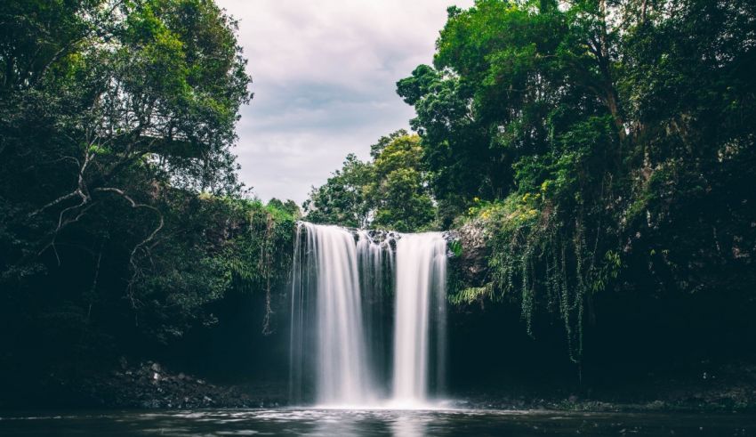A waterfall in the middle of a forest.