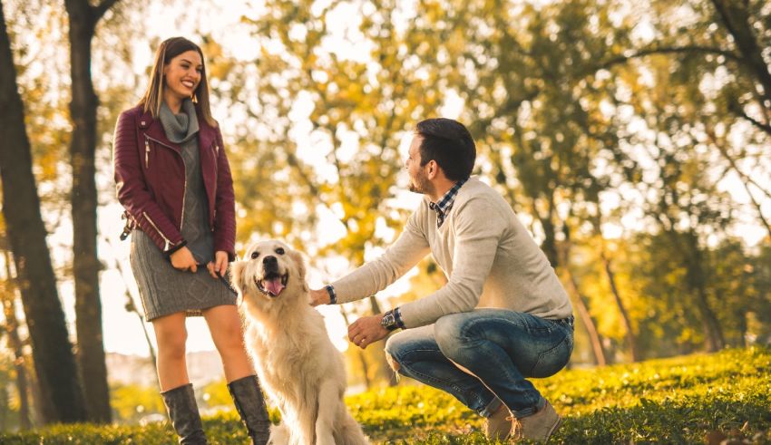 A man and woman with a dog in a park.