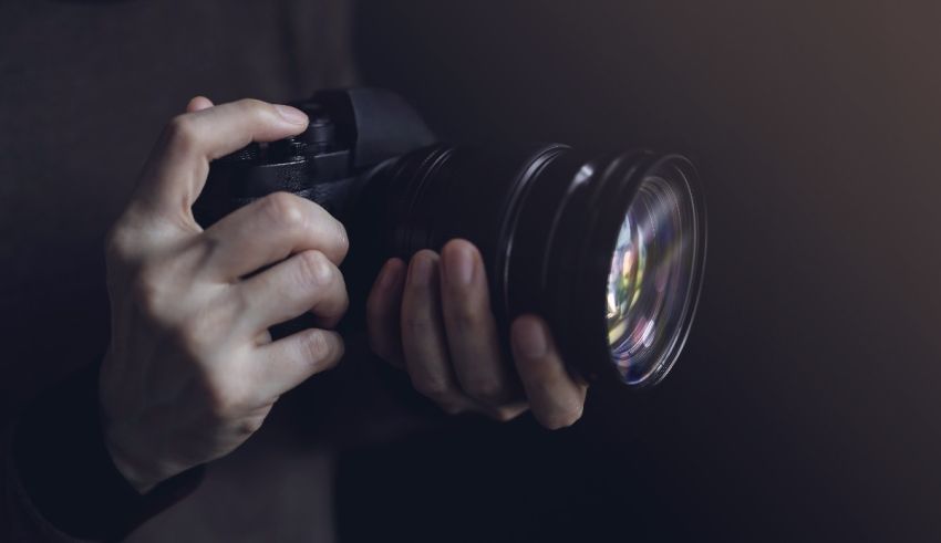 What Raccoon Are You